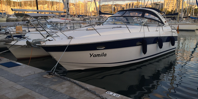 Yamila B