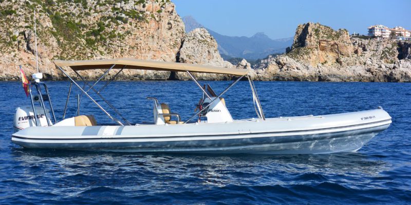 rib-1-0__picton-cobra-8m-rib