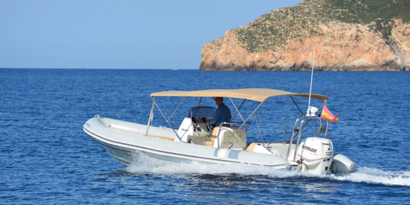 yachtcharter-mallorca-rib-5-0__picton-cobra-8m-rib